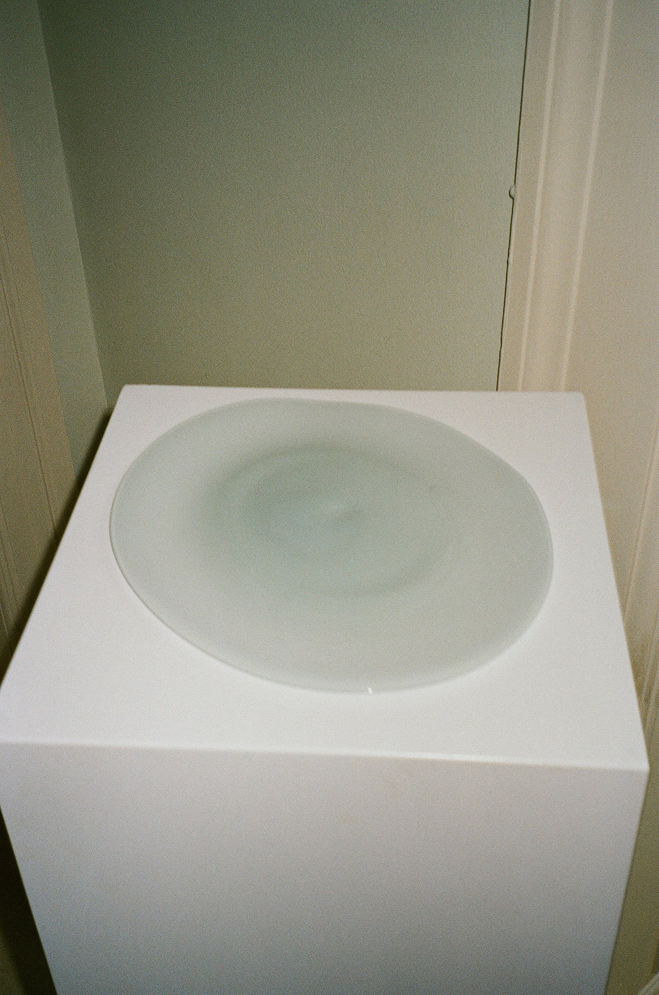 The Plate