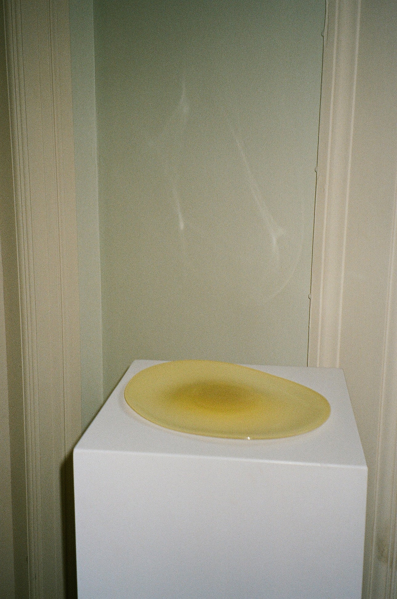 The Plate